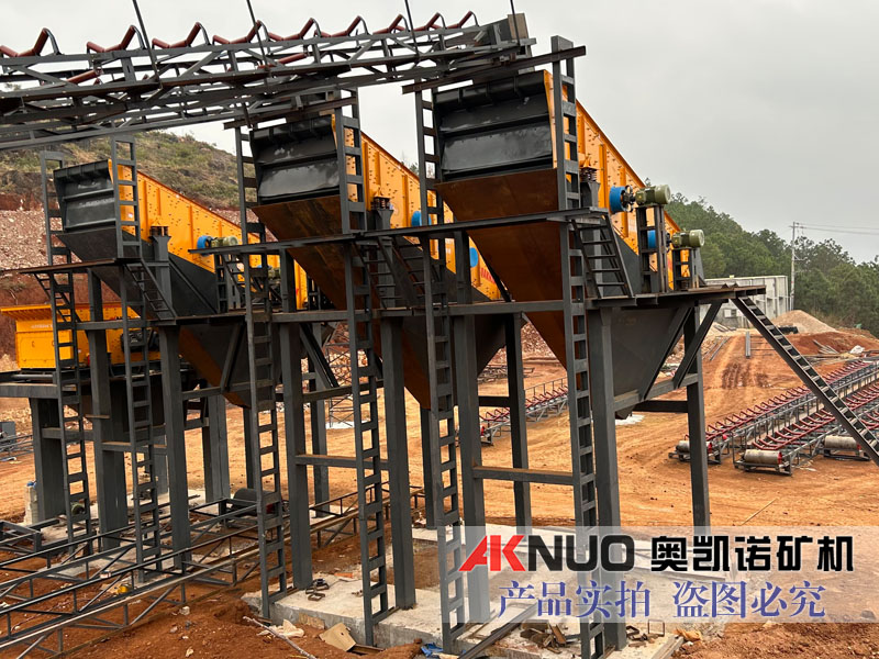 花季传媒黄在线观看分生产线现场